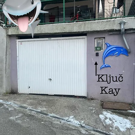 Delfin